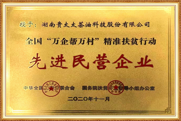 全国“万企帮万村”精准扶贫行动先进民营企业