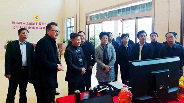 扎根大湘西 油茶产业助力精准扶贫