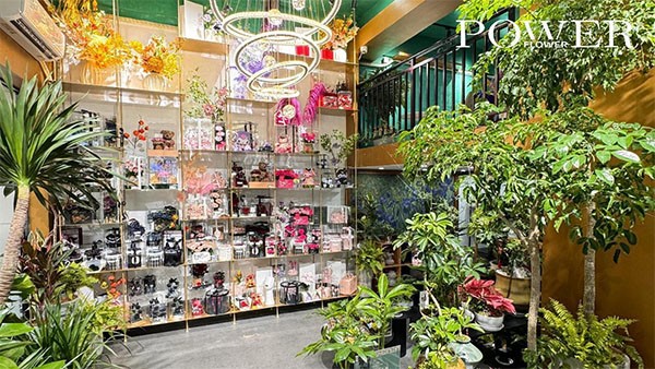 新晋网红品牌“花势力”进驻攸县，绘就宜居宜业绿色生态新画卷