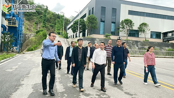 简报| 湖南省林业局、邵阳市林业局领导到特沃斯绥宁工厂开展考察交流