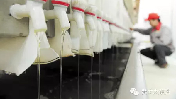 【长沙晚报】湖南贵太太带两万农户奔小康