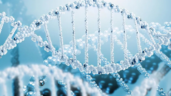 解锁丰收密码：神奇的生物酶制剂 