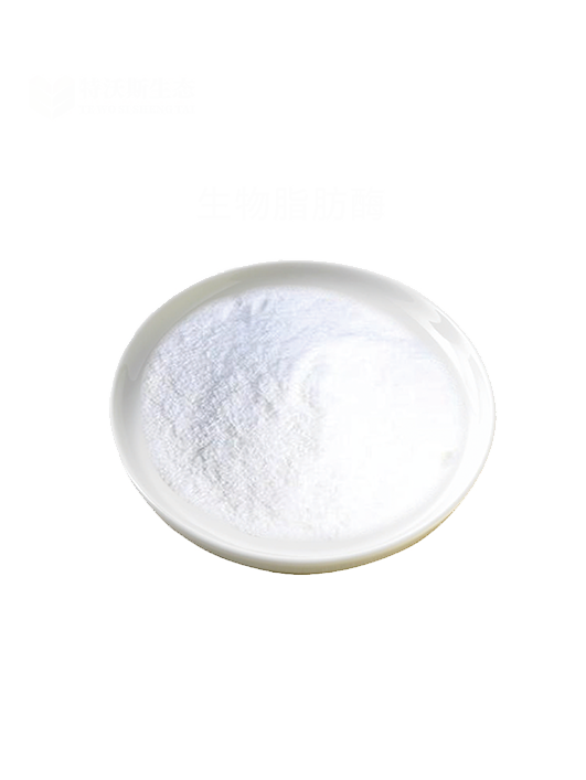 生物脂肪酶