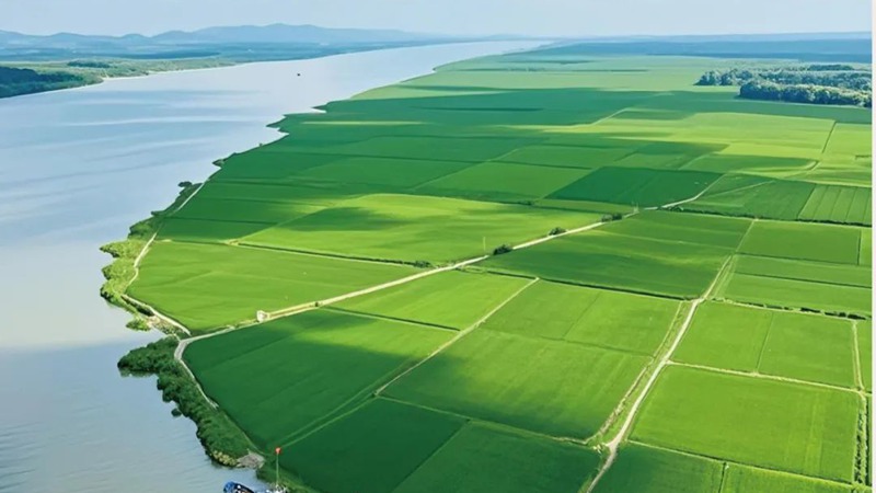 湖南省粮食和物资储备科技活动周专刊：特沃斯（贵太太）集团“食用植物油关键技术突破及产业创新发展实践—以贵太太甘二酯山茶油为例”