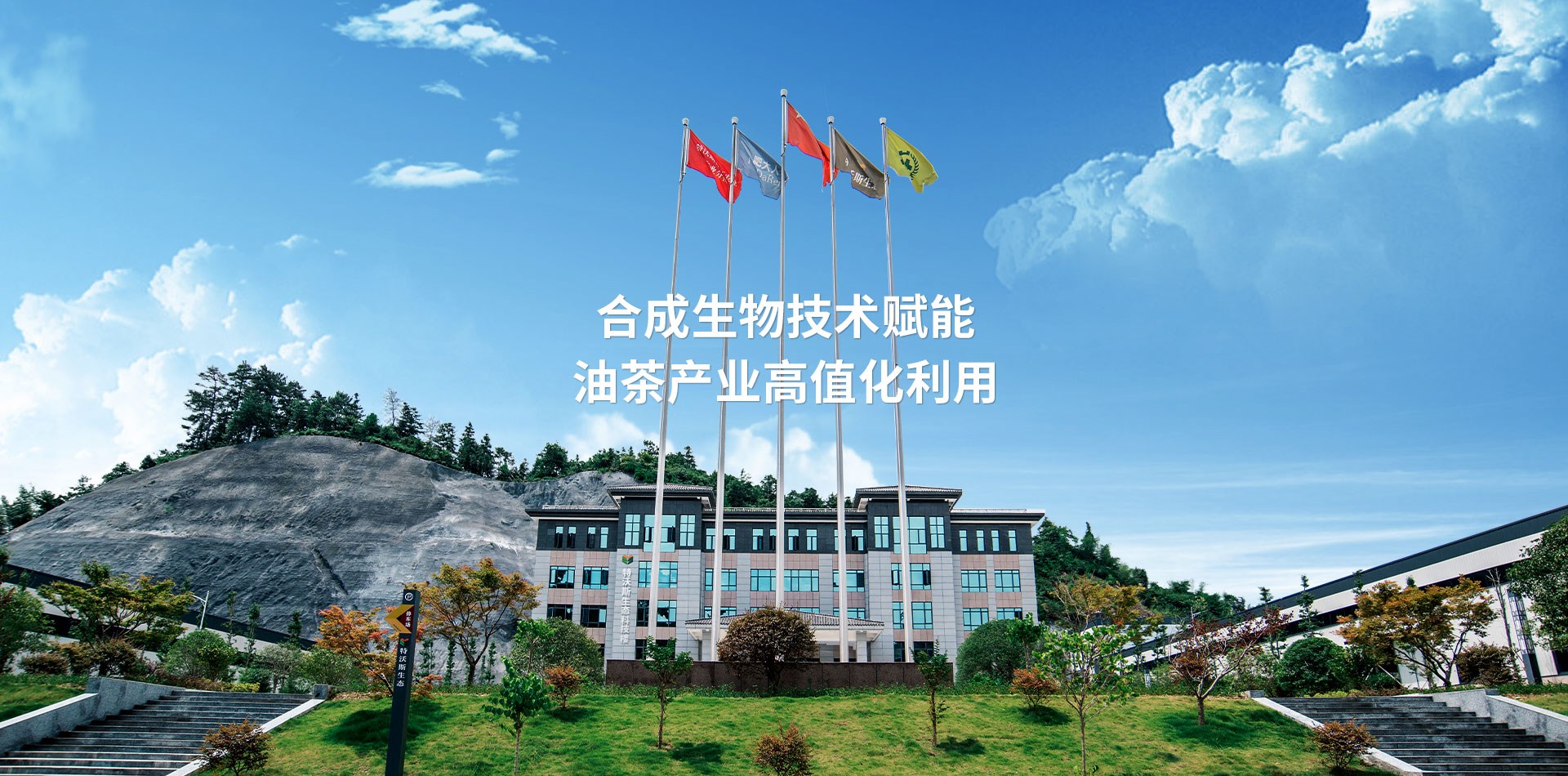 关于我们
