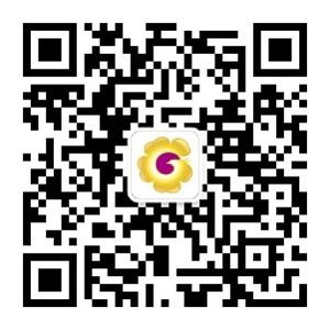 公众号